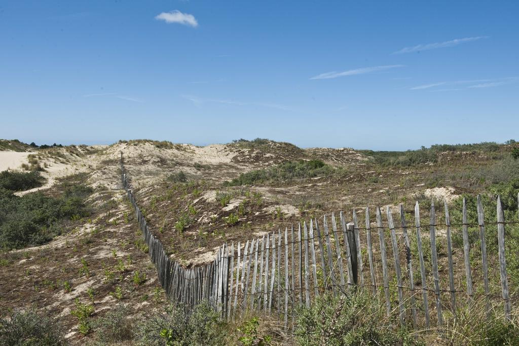 Evancy Etoile Des Dunes Lejlighedshotel Bray-Dunes Eksteriør billede