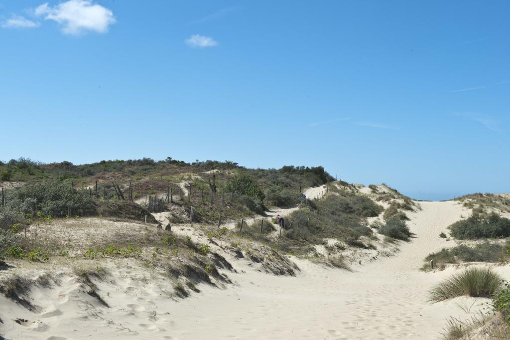 Evancy Etoile Des Dunes Lejlighedshotel Bray-Dunes Eksteriør billede