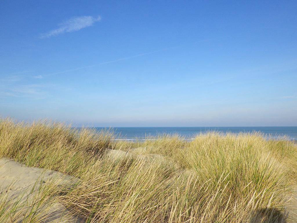 Evancy Etoile Des Dunes Lejlighedshotel Bray-Dunes Eksteriør billede