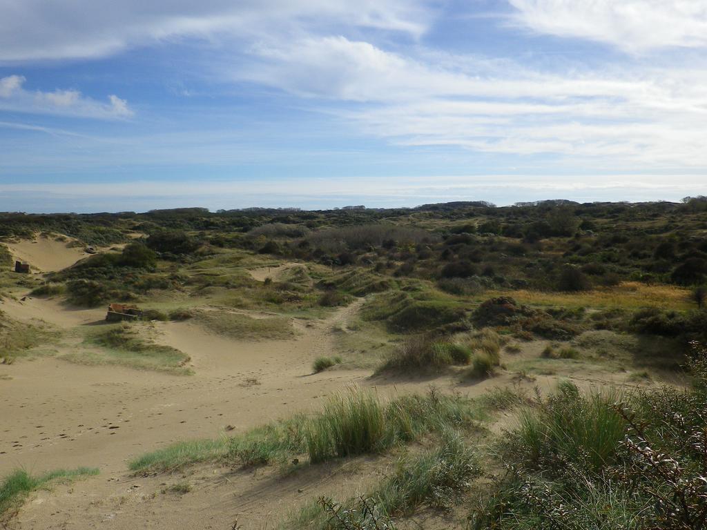 Evancy Etoile Des Dunes Lejlighedshotel Bray-Dunes Eksteriør billede